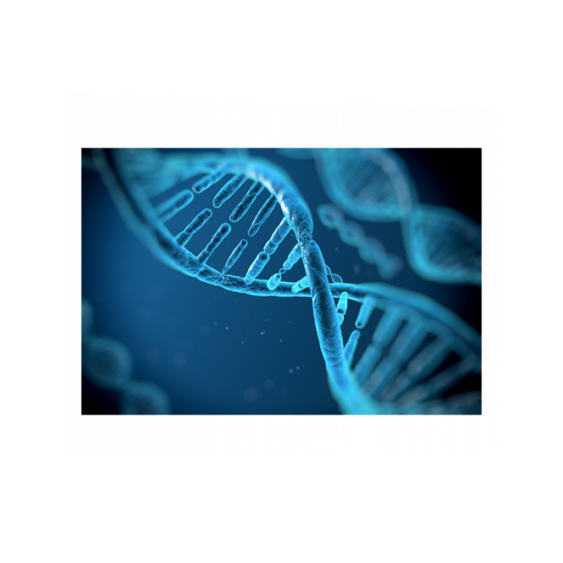 Πίνακας σε καμβά με Αλυσίδα DNA